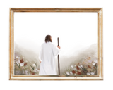 Like flowers in spring