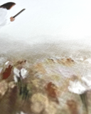 Like flowers in spring